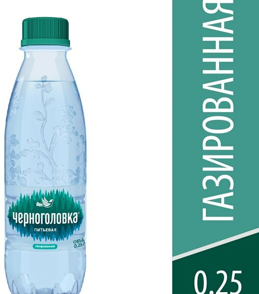 Вода Черноголовка питьевая газированная 250мл