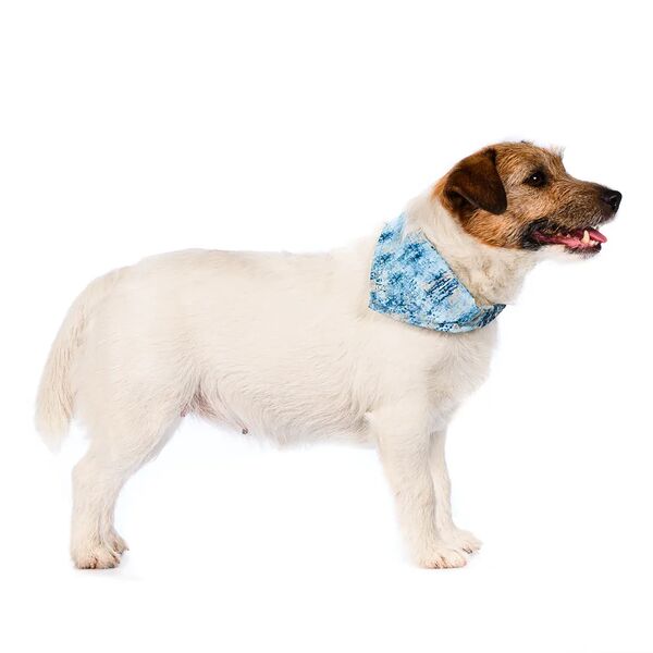 Бандана Save-the-planet для собак средних пород голубая S 62х38см