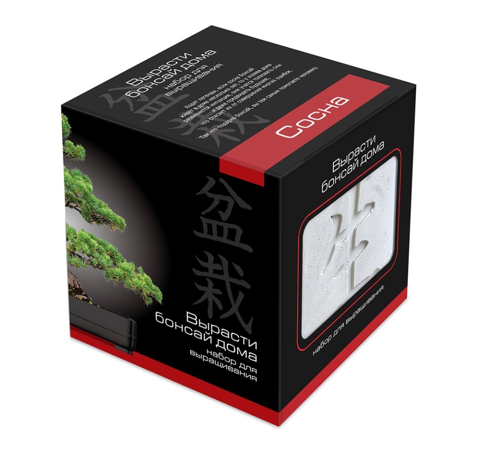 

Подарочный набор Вырасти Бонсай дома. Сосна в дизайнерском кубике ручной работы, Россия