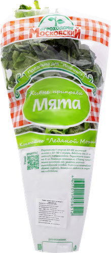 

Мята в горшочке