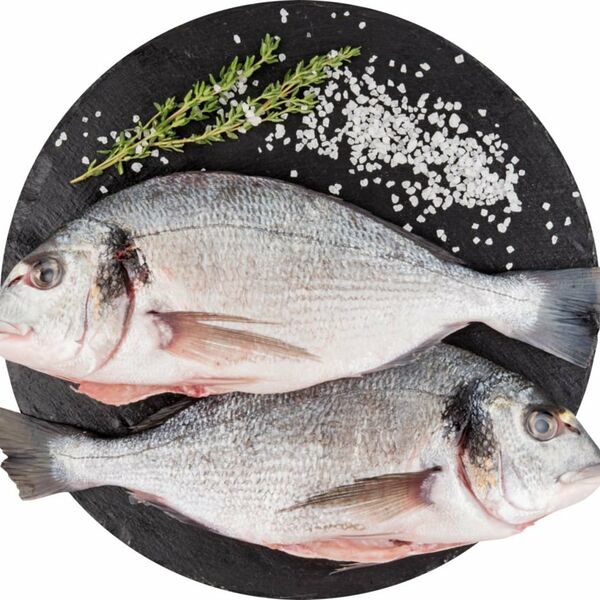 Дорада дефростированная Глобус потрошеная с головой очищенная вес