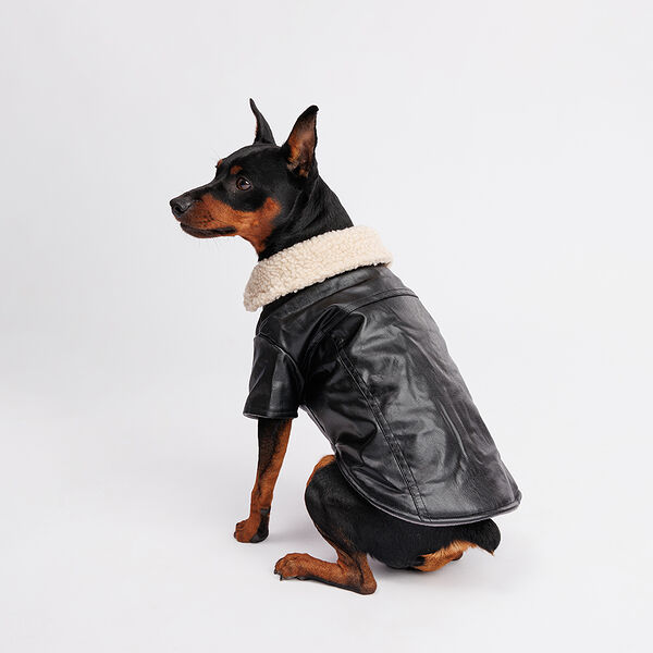 Куртка из кожзама для собак, L, черная