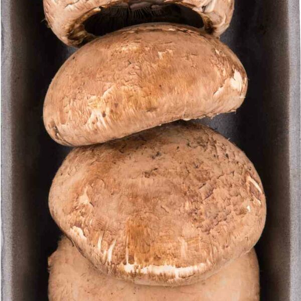 Грибы Портобелло