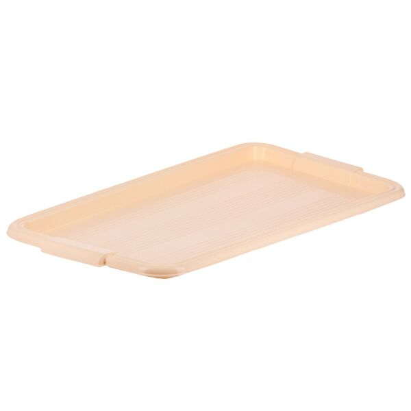 Поднос, 59х32х3 см, пластик