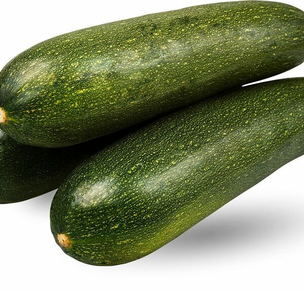 Кабачки цуккини зелёные