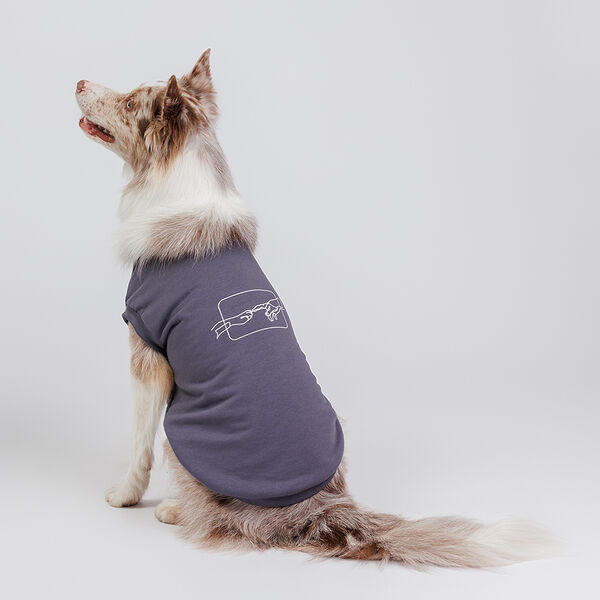 Толстовка для собак, 2XL, серая