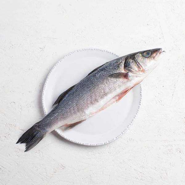 Сибас крупный охлаждённый из Средиземного моря, очищенный