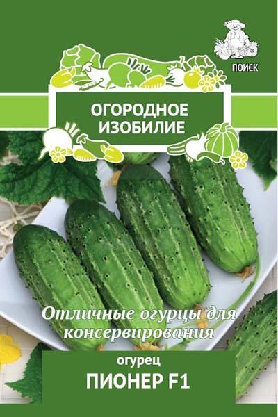

Огурец Поиск Пионер F1