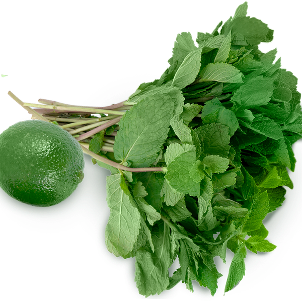 Набор зелени для мохито
