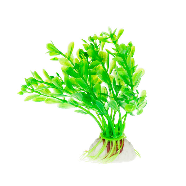 Растение зеленое 8см