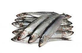 Килька балт с/г св/м фас вес Белвнешрыбторг