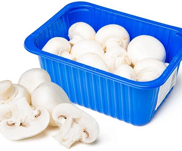 Грибы Green vitamin Шампиньоны