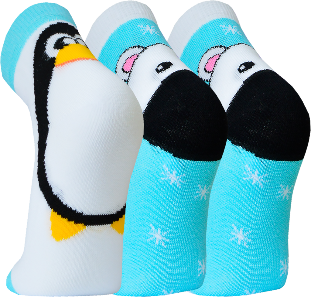 

Носки детские НОСИК Roly-poly р. 20–22, Арт. 8С3, 3пары