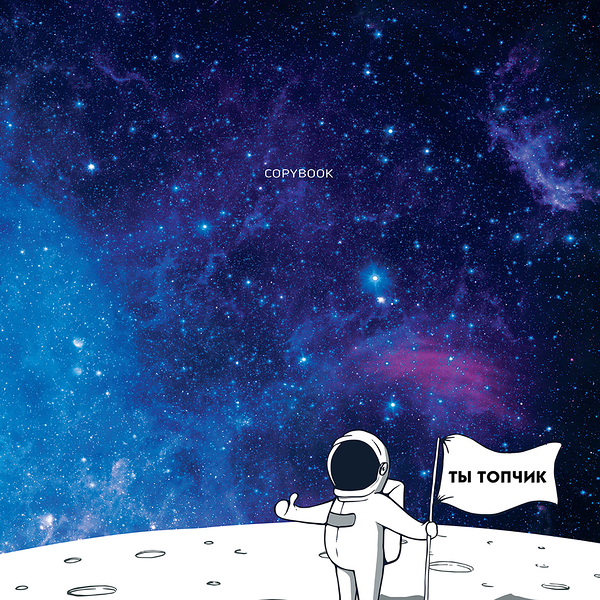 Тетрадь BG Ну ты тупой!, А5, 60 листов, в клетку Арт. Т5ск60 9613