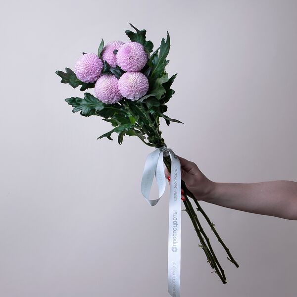 Букет цветов из Хризантема 