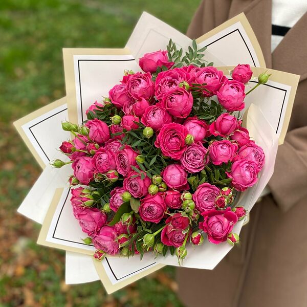 Малиновые краски(9в)