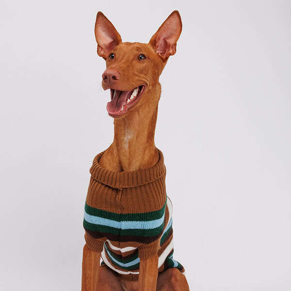 Свитер полосатый для кошек и собак, 55 см, коричневый