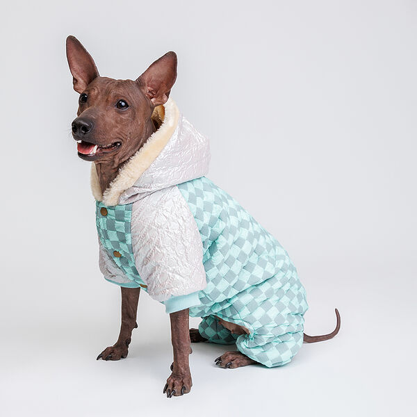 Комбинезон для собак Petmax с капюшоном 2XL бирюзовый (девочка)