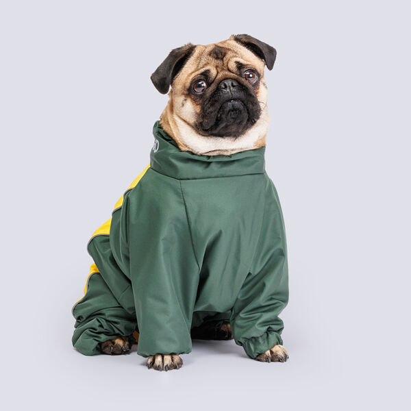 Комбинезон с флисовой подкладкой для мопса, 60х43х30 см, банан-авокадо (мальчик)