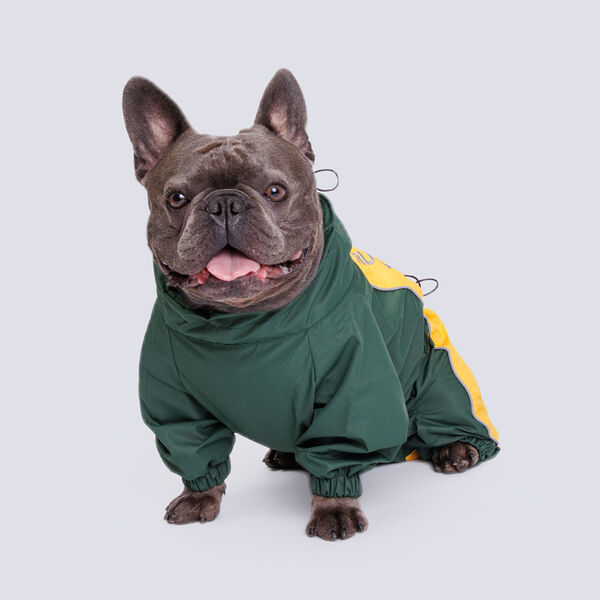 Дождевик с мембраной и резиновой молнией для французского бульдога, XL, 54х37х76 см, банан (мальчик)