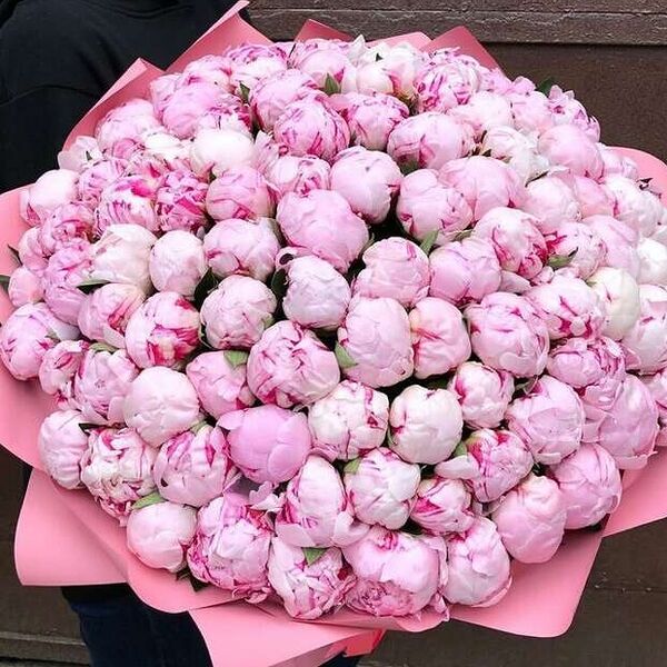 Букет из 101 розового пиона