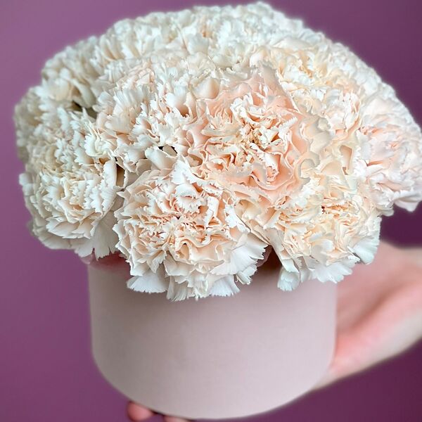 Кремовые гвоздики в коробке XS