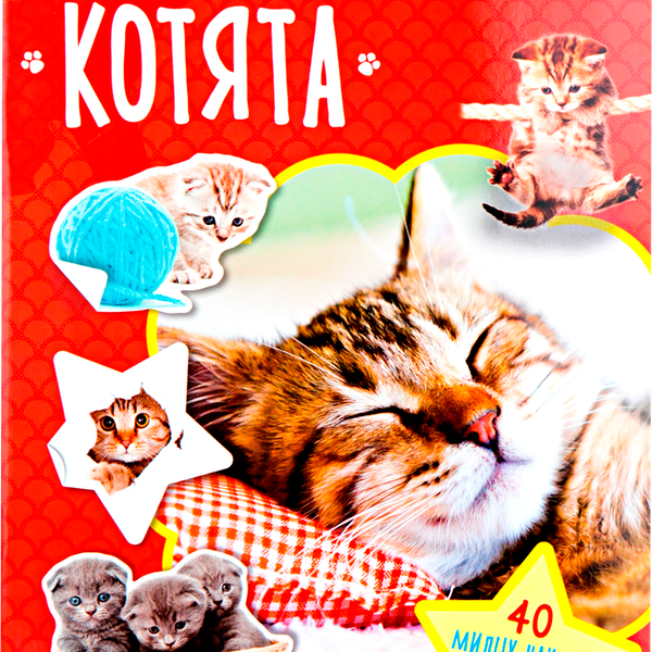 Книга ЛАБИРИНТ Зверята, наклейки. Котята