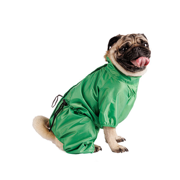 Дождевик для собак, S, зеленое яблоко (девочка)