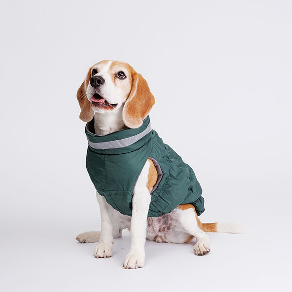 Куртка на молнии для собак, L, зеленая
