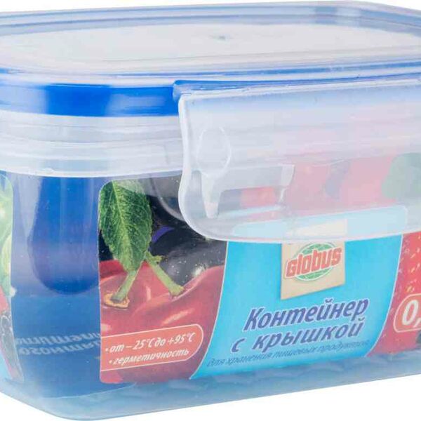 Контейнер Глобус с крышкой
