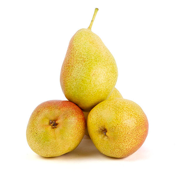 Груша Форель