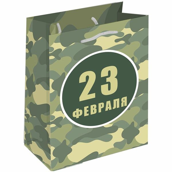 Пакет Принчипесса PAK024 универсальный, 18х23х10см