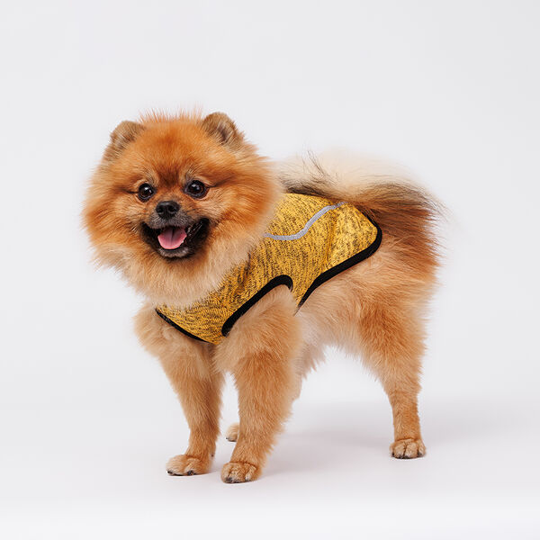 Свитер меланж на молнии для собак, 40 см, желтый