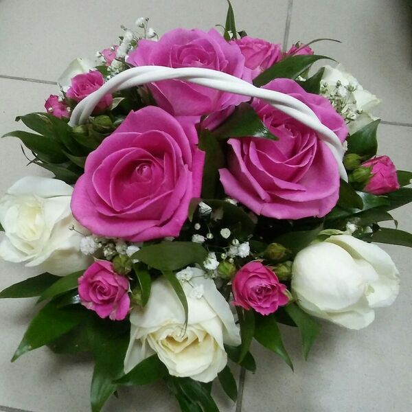 Робкая надежда