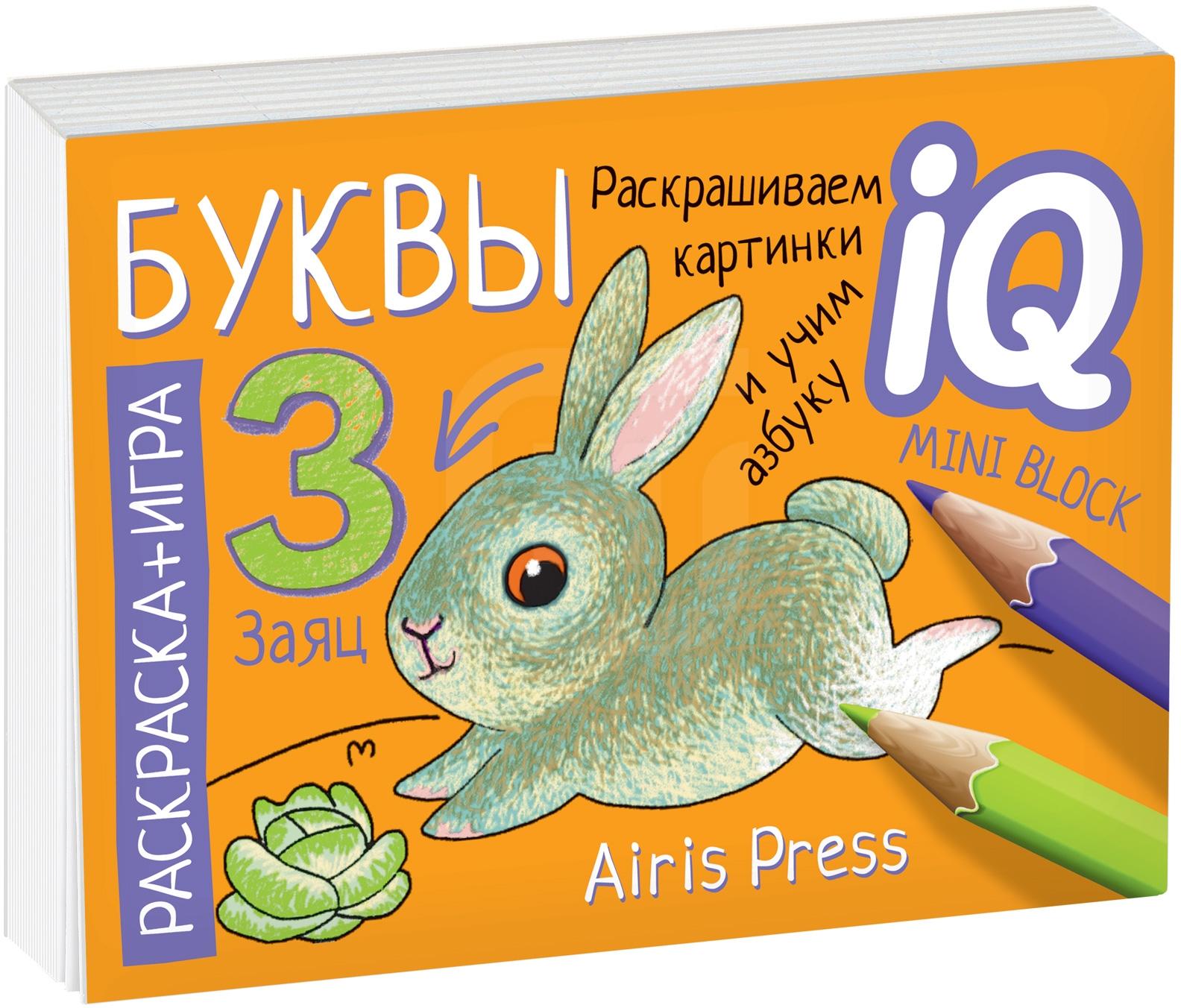 

Книга Раскраска-игра АЙРИС-пресс готов к школе