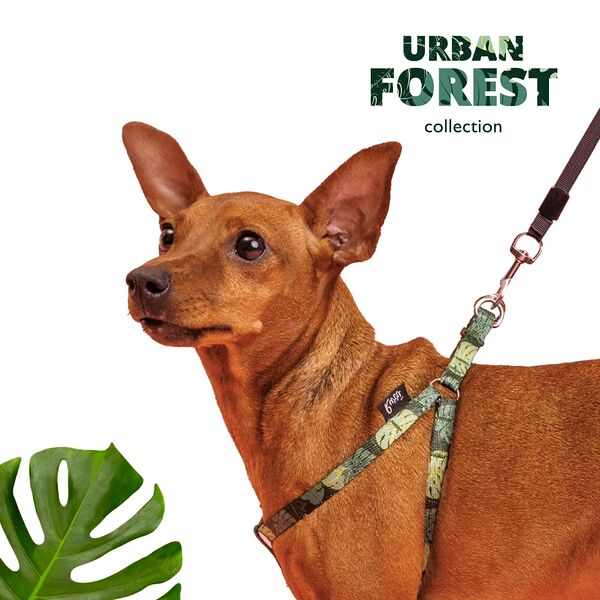 Шлейка для собак Urban Forest, XS, 33-46,5 см, 10 мм