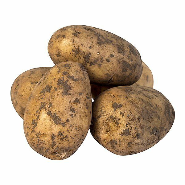 Картофель Россия