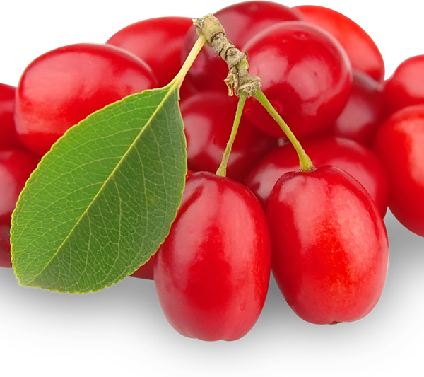 Кизил красный