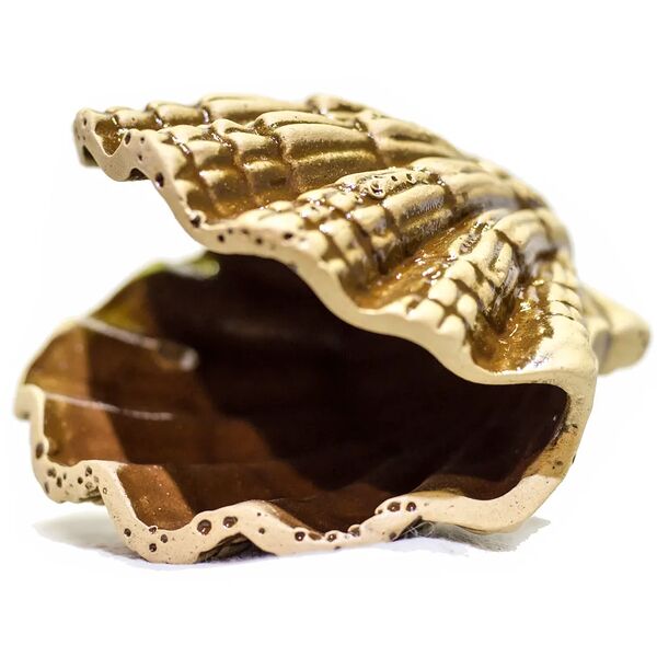 Декор для аквариумов Гребешок, 7х12х12 см