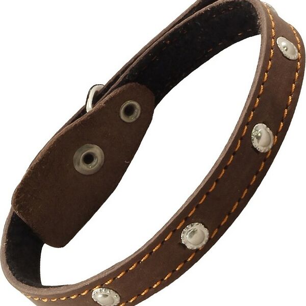 Гамма ошейник кожаный на синтепоне с украшением 40 см.