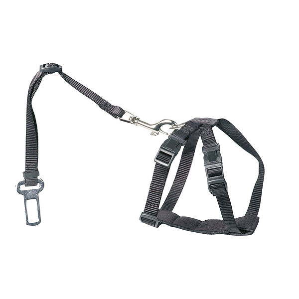 Шлейка для собак EBI автомобильная XS, черная 20-50см