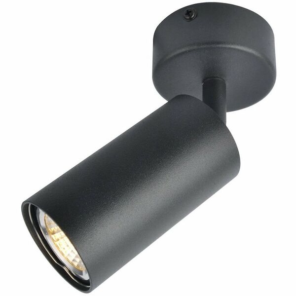 Светильник настенно-потолочный ARTE LAMP Aquarius, GU10, 50Вт, черный