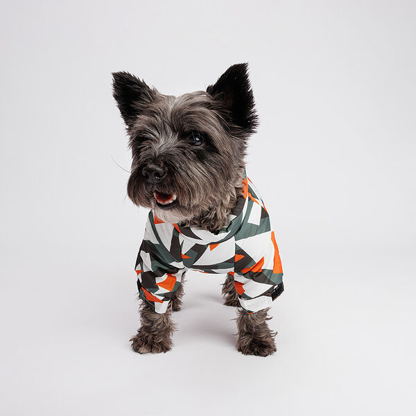 Комбинезон для собак Petmax с замком M, серо-оранжевый