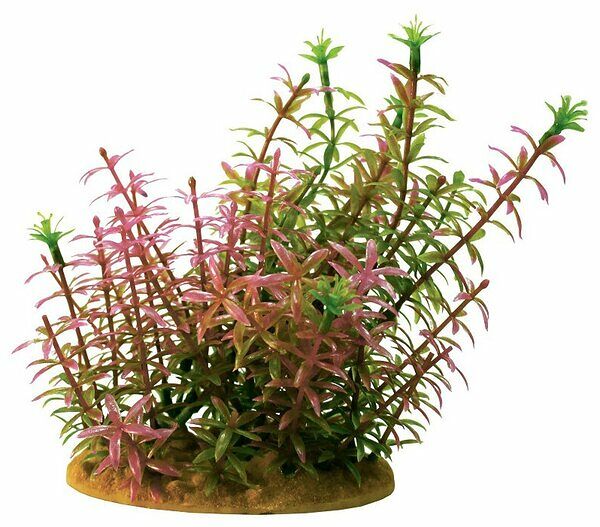 Растение пластиковое PRIME Альтернантера 15 см