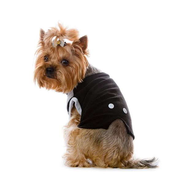 Фрак для собак XL черный (унисекс)
