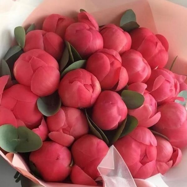 Букет из 21 кораллового пиона