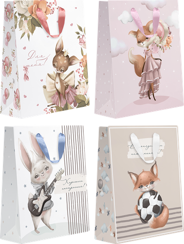 Пакет подарочный Kids 22,7х18х10см, в ассортименте 