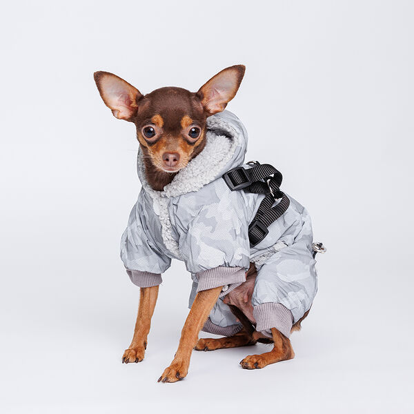 Комбинезон светоотражающий для собак, S, с пятнами