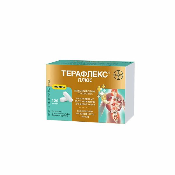 Терафлекс Плюс капс.№120