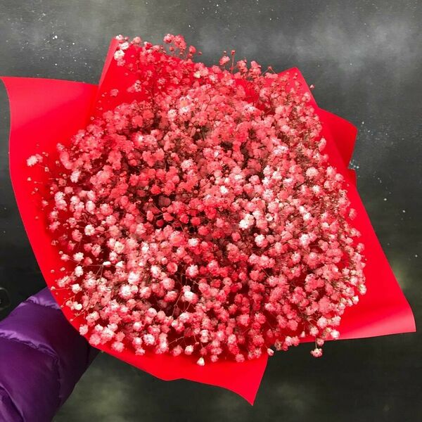 Моно из красной гипсофилы